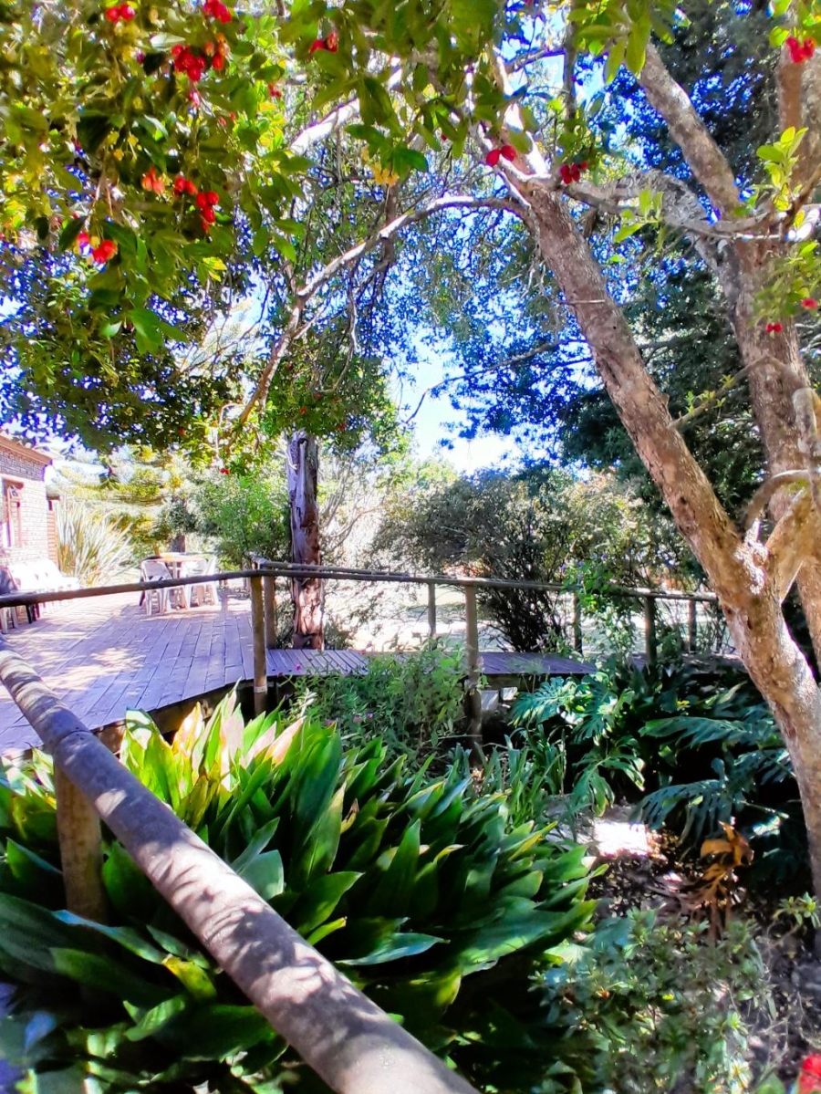 36 Bedroom Property for Sale in Harkerville A H Western Cape